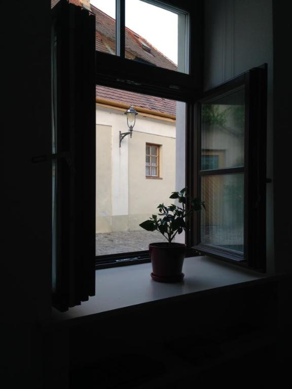 Fotografie z fotogalerie ubytování Apartment historical city ve Znojmě