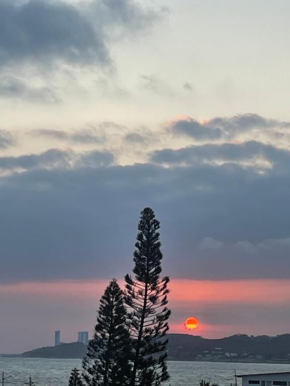 a tree with the sunset in the background at SUNRISE Apart in Playas