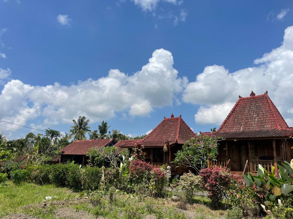 Zahrada ubytování Sirya Farm House