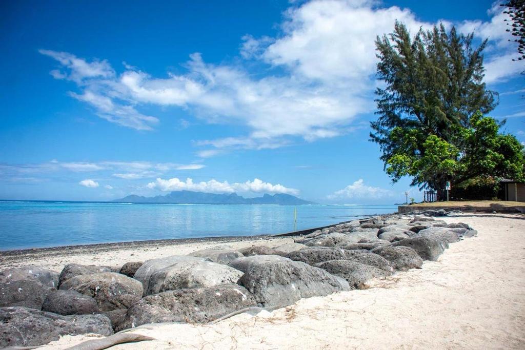 Tuatahi Beach Lodge - photo 6 - Tahiti, Polynésie