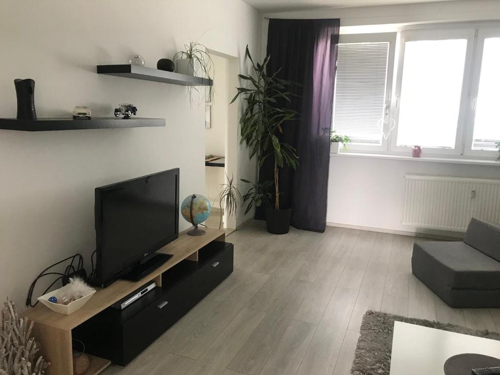 TV a/nebo společenská místnost v ubytování Ubytování U Kapličky