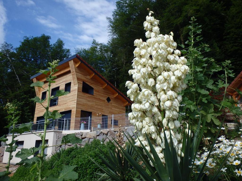 a large white flower in front of a house at Villa Cora Venez avec spa in Saint-Bresson