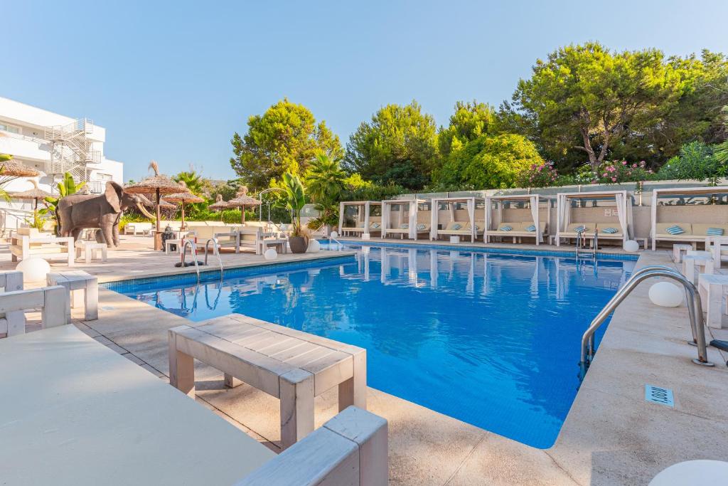Suite Inn con Terraza 3, Torrenova – Updated 2023 Prices