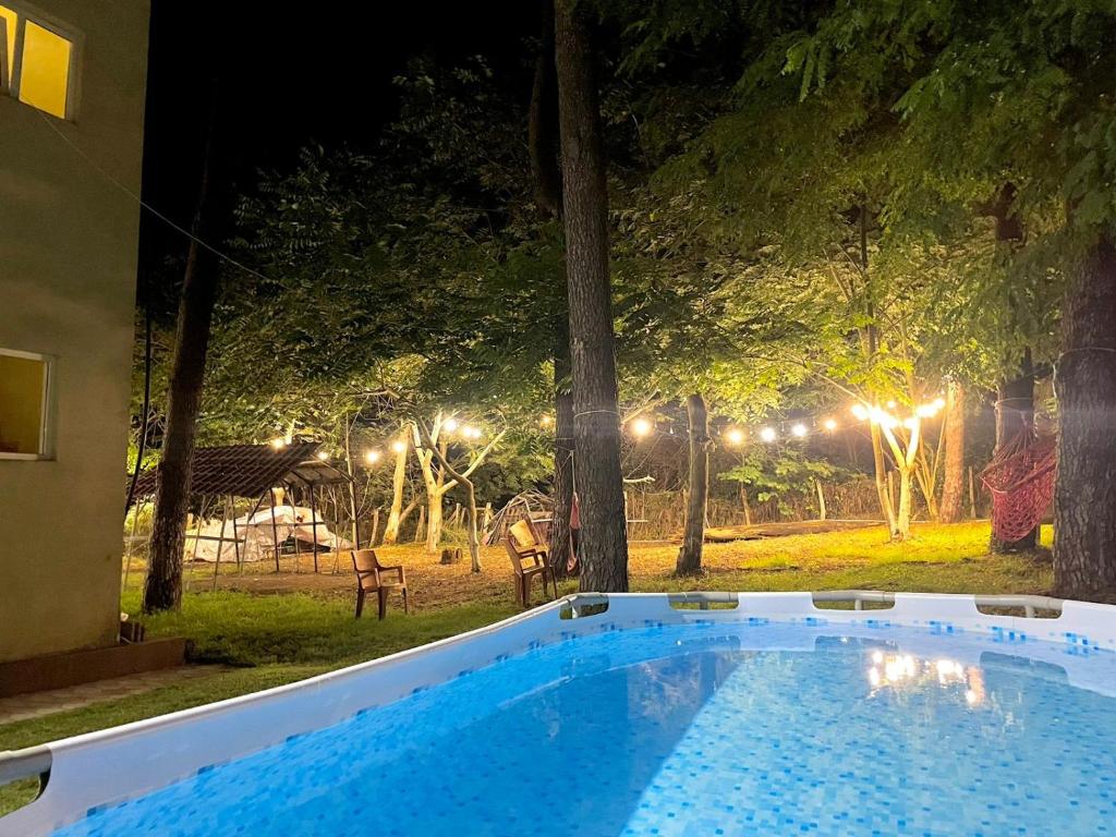 夏克班提維的住宿－Mai Shekvetili，夜间在院子里的大型游泳池
