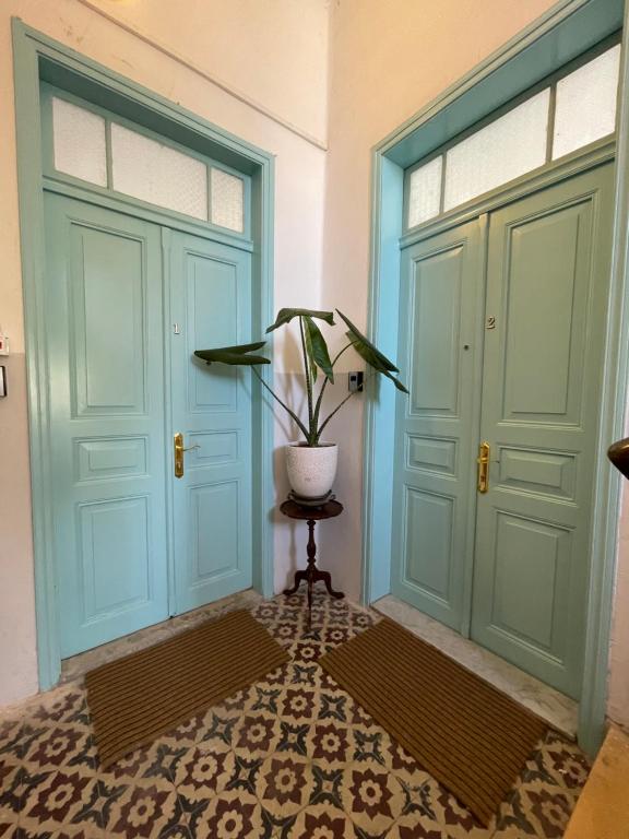 a hallway with two doors and a potted plant at Talpiot Oasis-Louis in Haifa