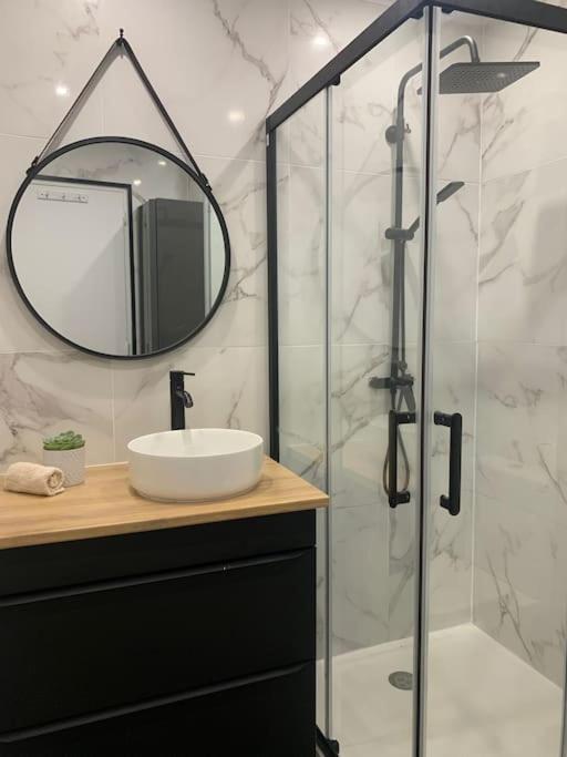une salle de bain avec un lavabo et une douche avec un miroir dans l'établissement Charmant T1-Bis à Cuges-Les-Pins, à Cuges-les-Pins