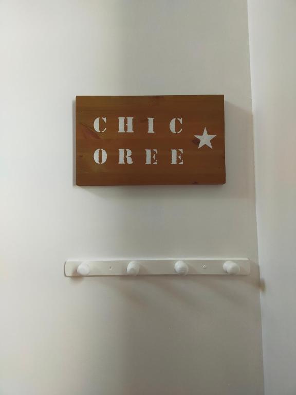 spéculoos et chicorée - Studio