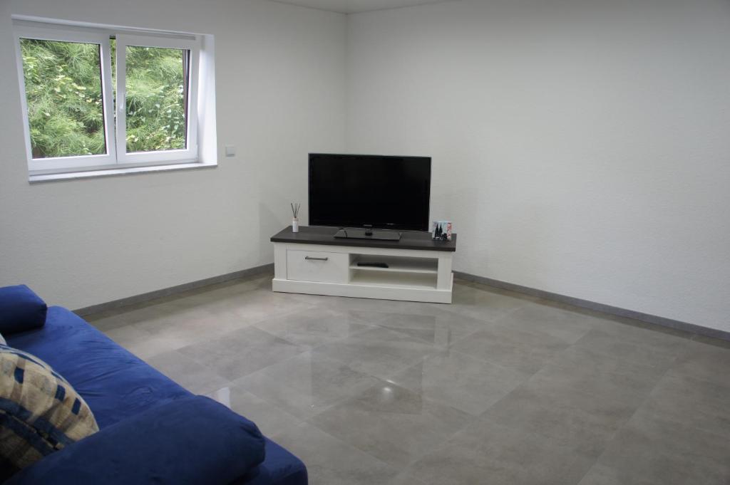 a living room with a blue couch and a flat screen tv at 2- Zimmer-Wohnung in Weilerswist