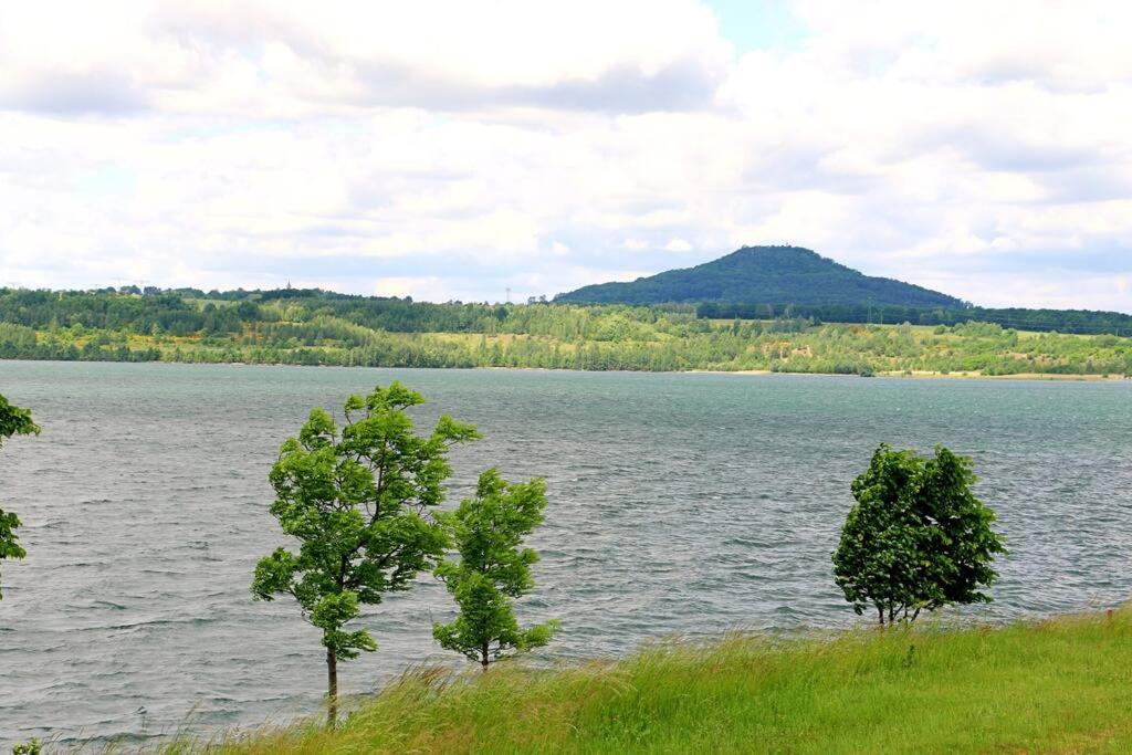 two trees in front of a large body of water at Villa Ilex - Ein Massivholzhaus direkt am See in Görlitz
