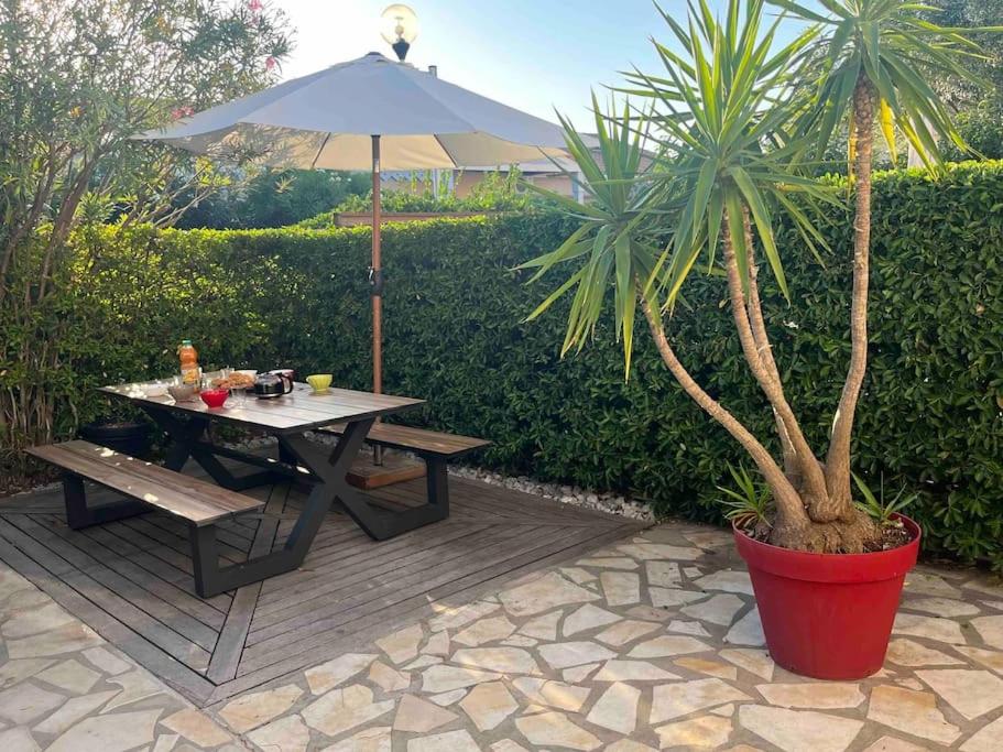 una mesa de picnic con una sombrilla y una palmera en Villa avec piscine, parking, clim en Palavas-les-Flots