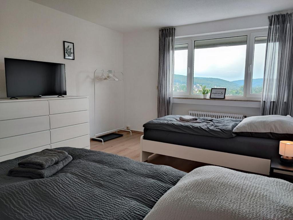 TV a/nebo společenská místnost v ubytování ERB01 - 2-Zimmer-Apartment mit Balkon in Bad König