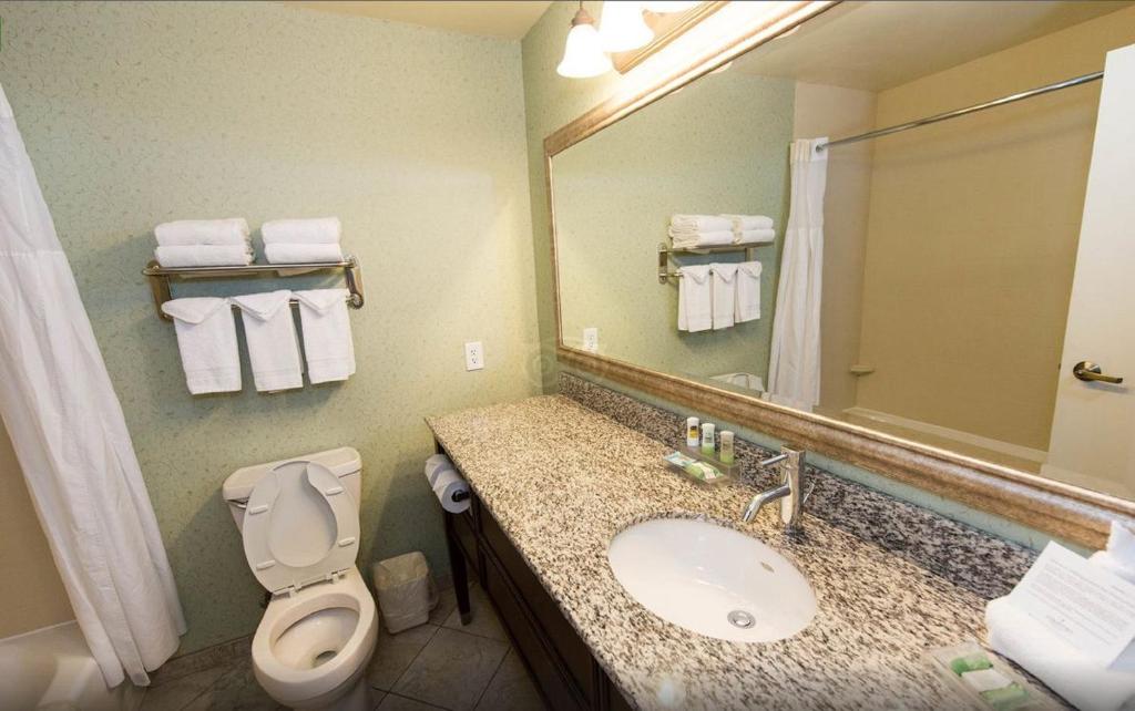 Country Inn & Suites by Radisson, Asheville West near Biltmore - Studio Met Kingsize Bed - Niet-Rokers