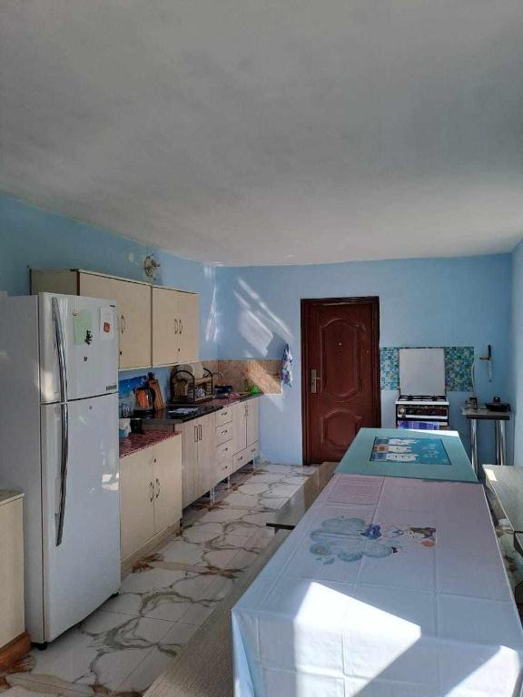 Kuchyň nebo kuchyňský kout v ubytování Guesthouse Luka