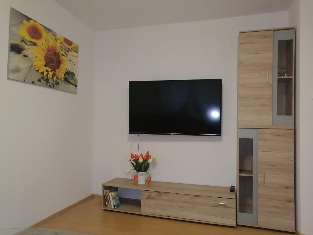 TV a/nebo společenská místnost v ubytování Domček u Vojta