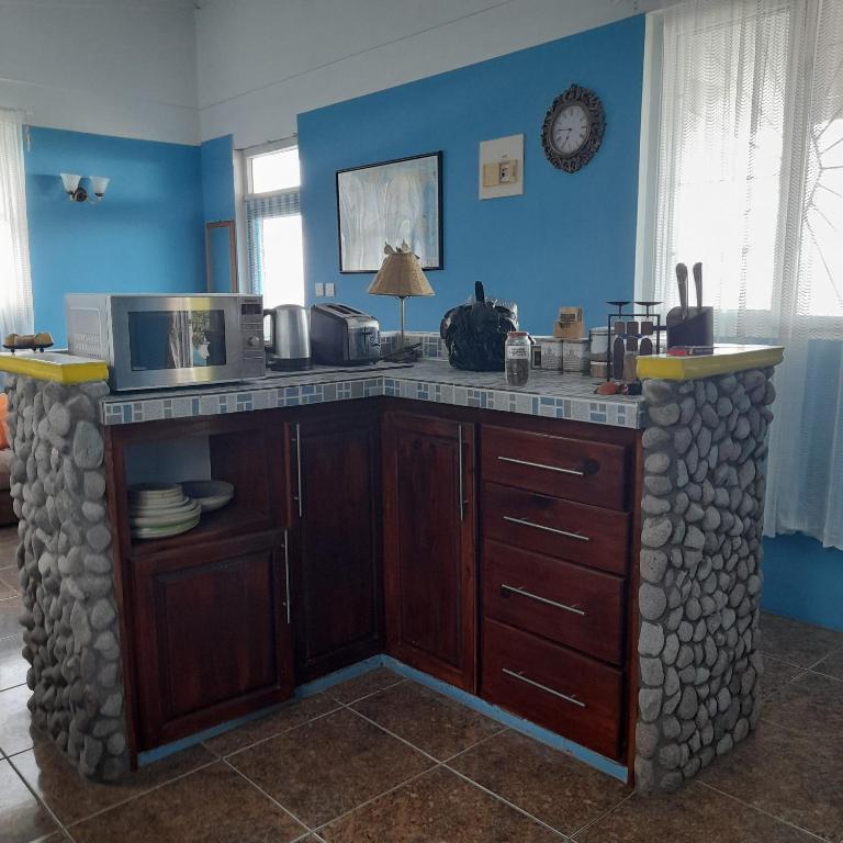 Kuchyň nebo kuchyňský kout v ubytování Canefield sea view apartment