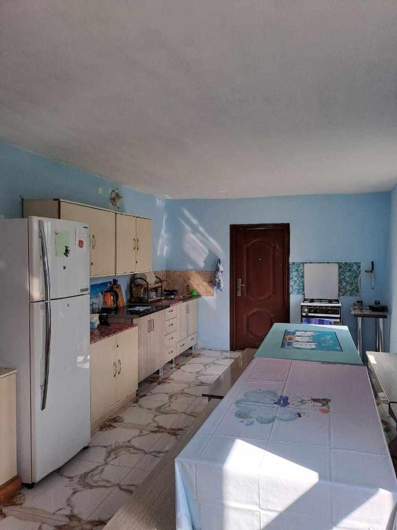 Kuchyň nebo kuchyňský kout v ubytování Guesthouse Luka