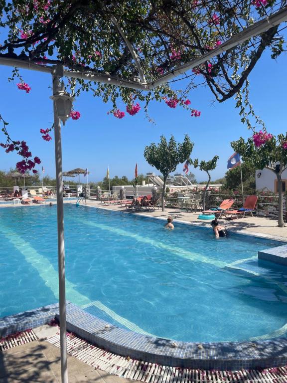 Bazén v ubytování Santorini Camping & Hostel nebo v jeho okolí