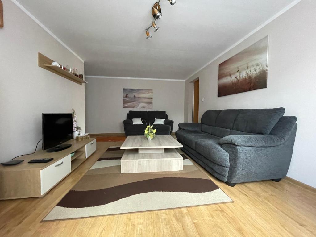 ein Wohnzimmer mit einem Sofa und einem TV in der Unterkunft Apartmán Stráne in Martin