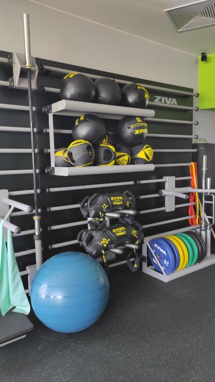 Fitness centrum a/nebo fitness zařízení v ubytování SP resort - Peter Sagan