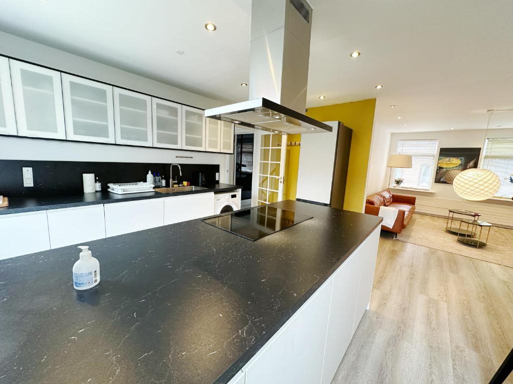 uma cozinha com um balcão preto num quarto em Aalborg city center newly renovated house em Aalborg