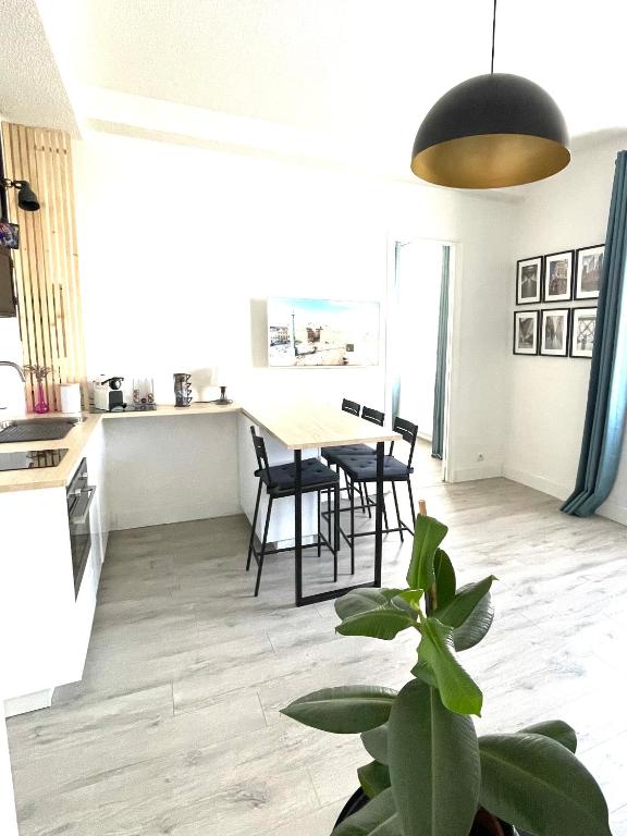 une cuisine et une salle à manger avec une table et une plante dans l'établissement Charmant T2 Saint Raphael centre historique, à Saint-Raphaël