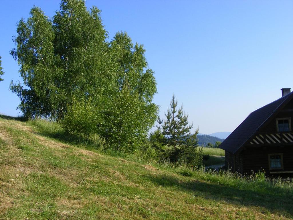 Loodusmaastik puhkemajakeste lähedal
