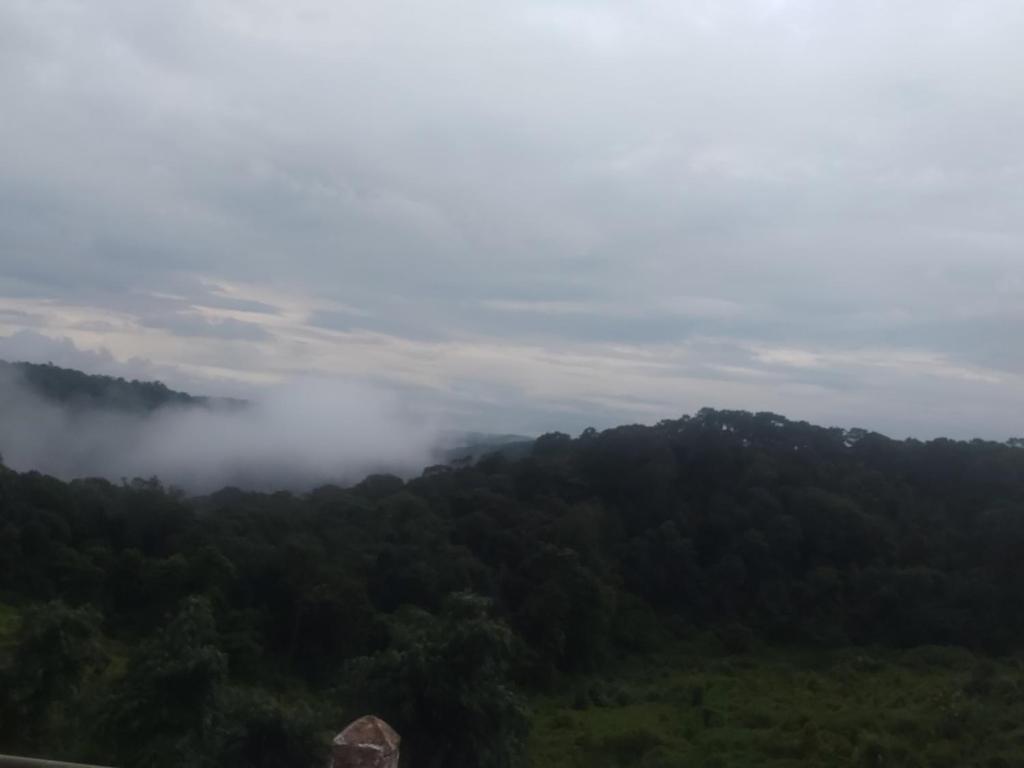 a view of a forest with fog in the distance at Handmade Store Măng Đen in Kon Von Kla