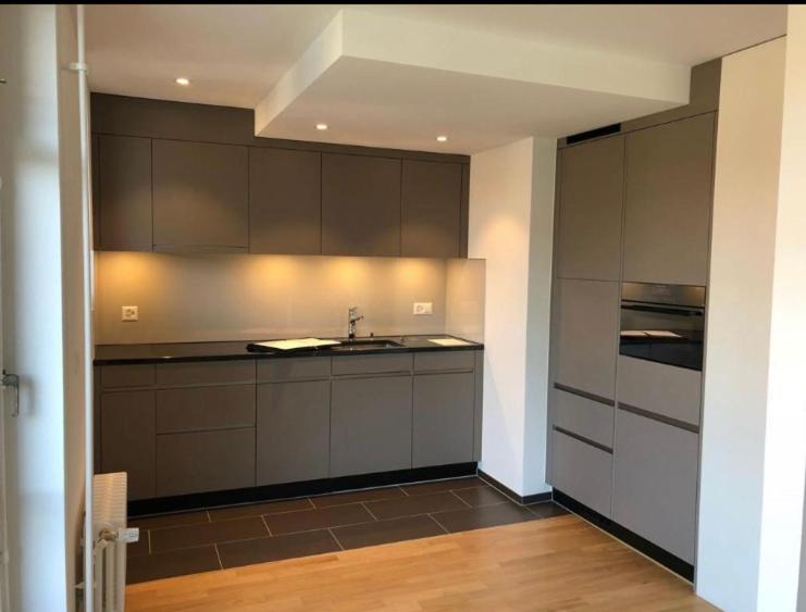 a kitchen with gray cabinets and a sink in it at Wohnung in Zürich Kreis 3 befristet in Zurich