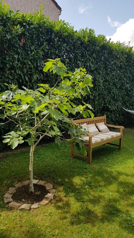 a wooden bench sitting next to a small tree at Chez Laurence &amp; RV in Vauréal