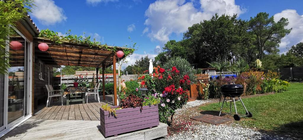 a garden with a pergola and a grill at MAISON &amp; PISCINE PRIVES,PLAGES OCEAN ET LAC A 10 kms in Linxe