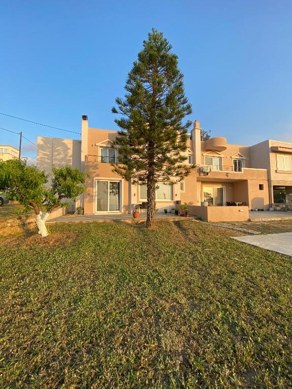 a house with a tree on top of a yard at Handra Villa in Asfendioú