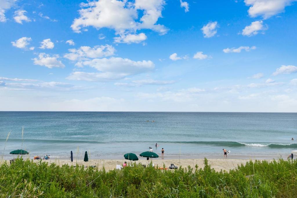 The Wildye at Ships Watch, Duck (updated prices 2024)