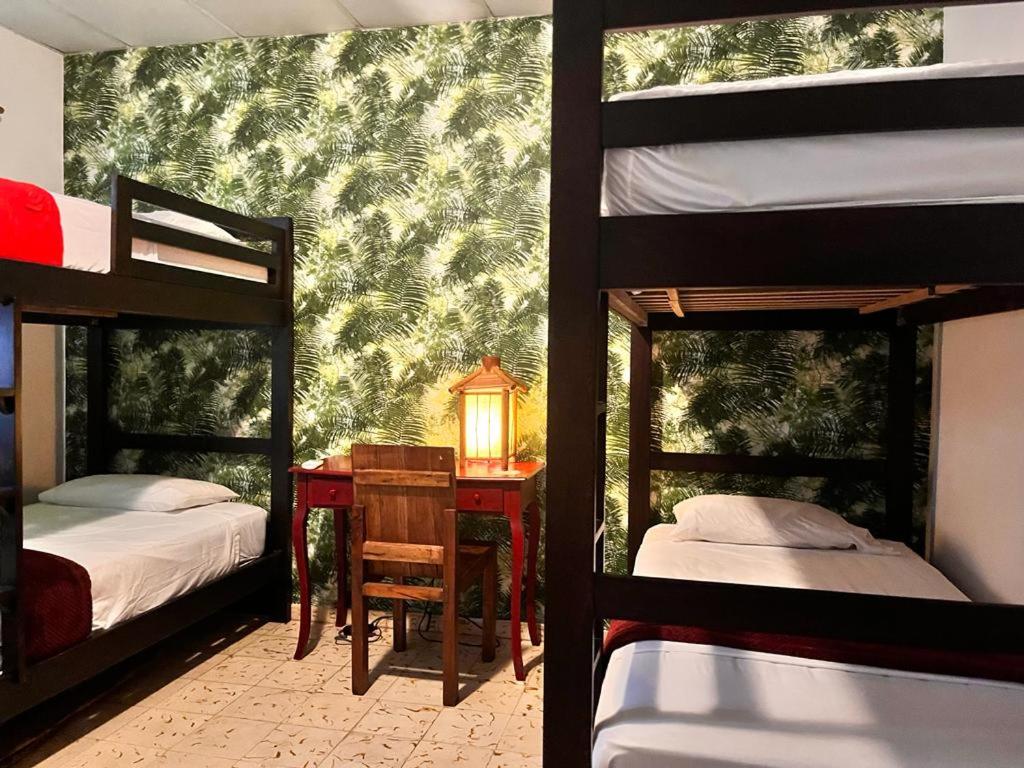 Panama House Bed & Breakfast - 