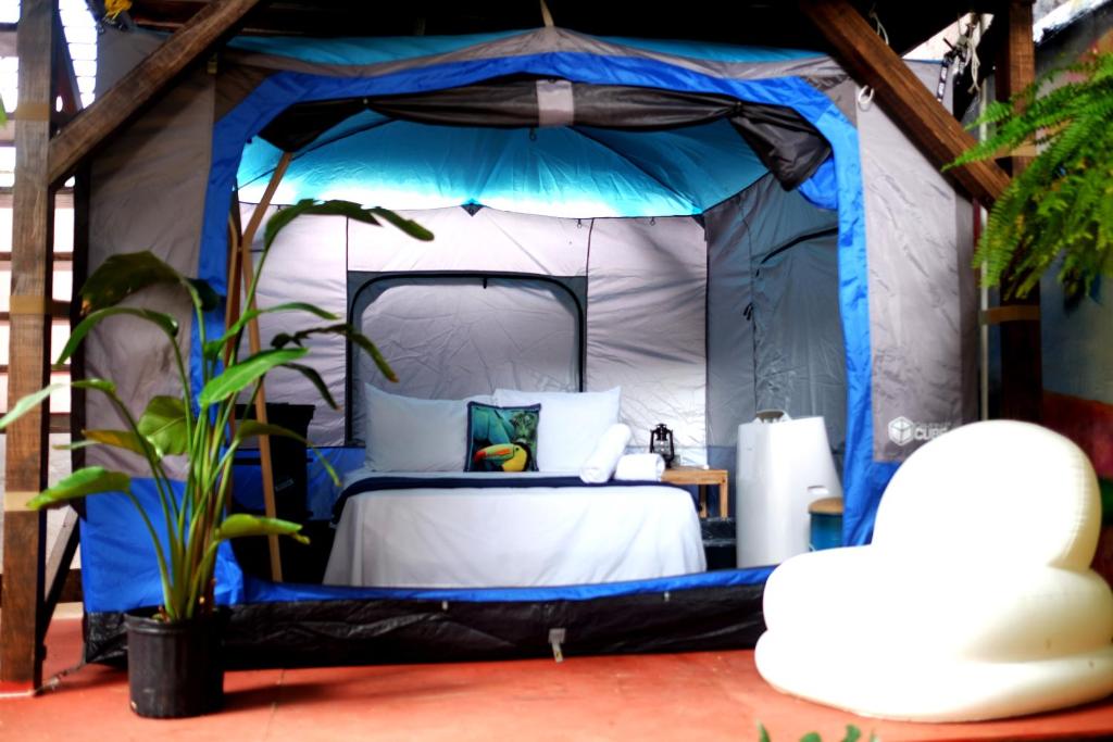 Panama House Bed & Breakfast - 