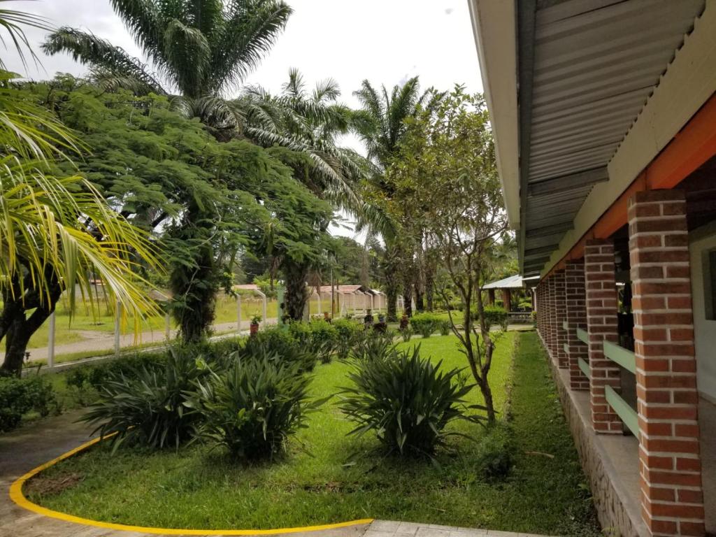 Hotel Estancia del Bosque Forest Guest House في Siguatepeque: ساحة خارج المنزل مع أشجار النخيل