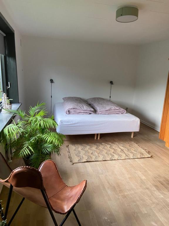 Letto o letti in una camera di Toghale