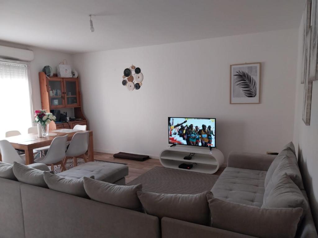 a living room with a couch and a tv at Charmant appartement T2 parc JB Lebas in Lille