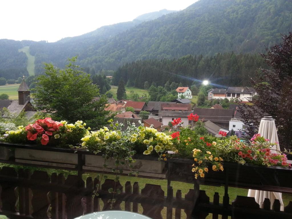 Ferienhaus Kramser - 10