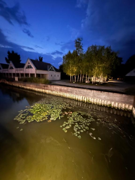 Výhled na řeku, která protéká v blízkosti apartmánu