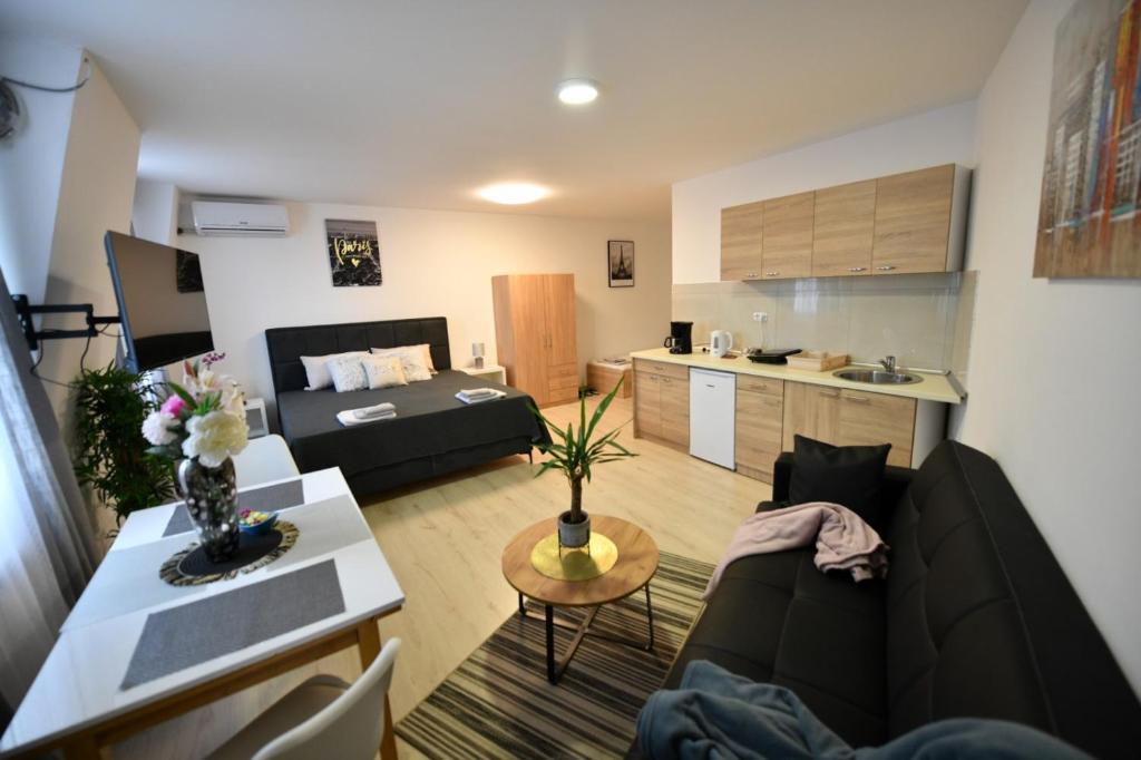 Kuchyň nebo kuchyňský kout v ubytování West in apartments