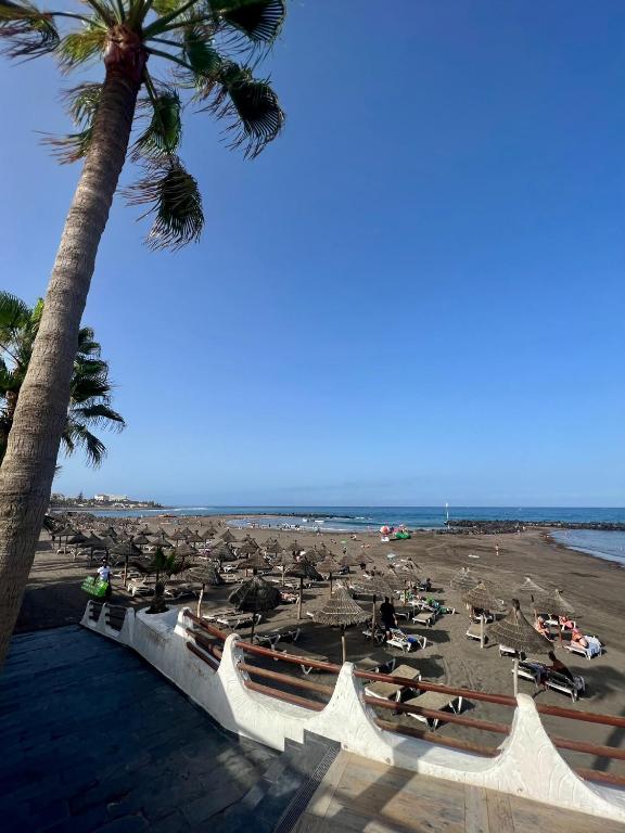 Fotografie z fotogalerie ubytování Stonefall Tenerife Holiday Apartment Las Americas v destinaci Playa Fañabe