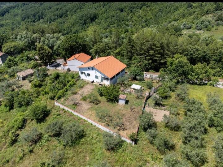 Príroda v okolí dovolenkového domu