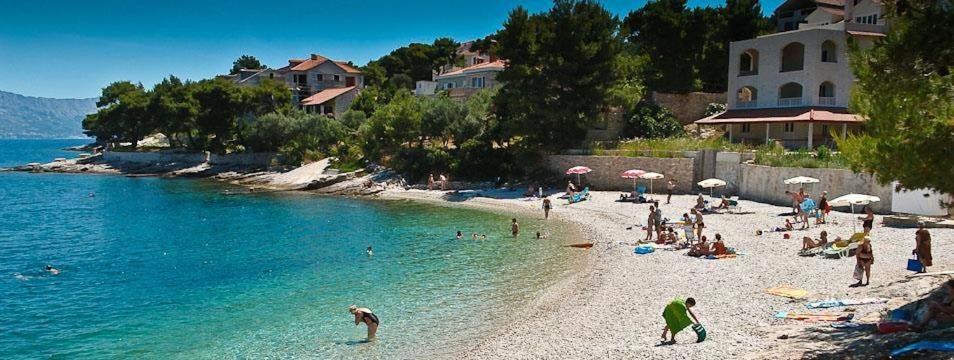 Φυσικό τοπίο κοντά σε αυτό το διαμέρισμα