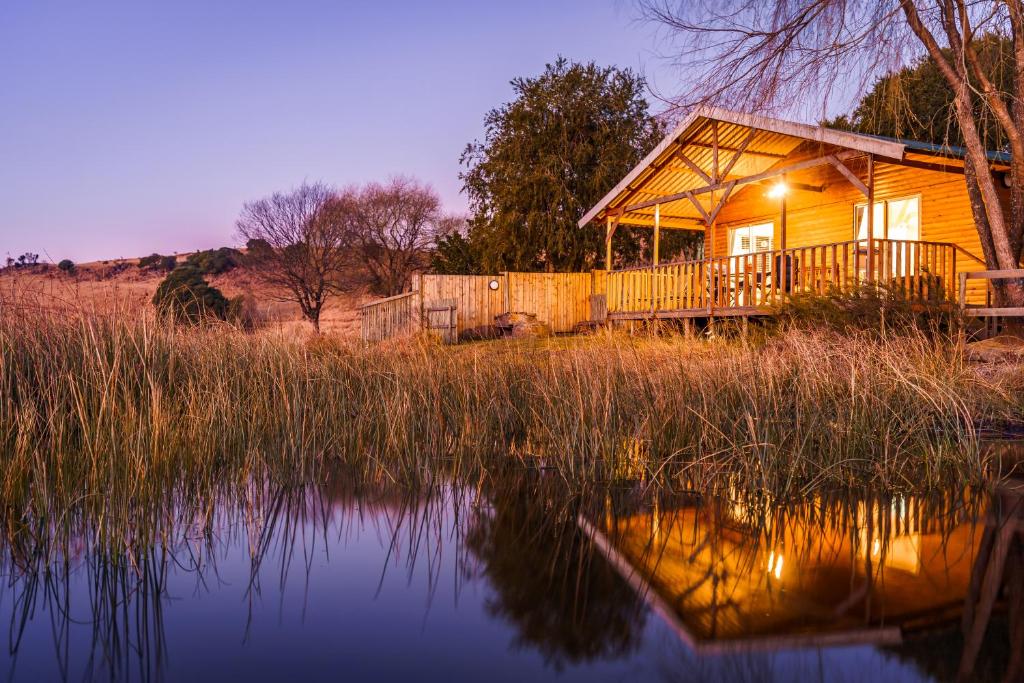 uma cabana de madeira com um lago em frente em Copperleigh Trout Cottages em Dargle