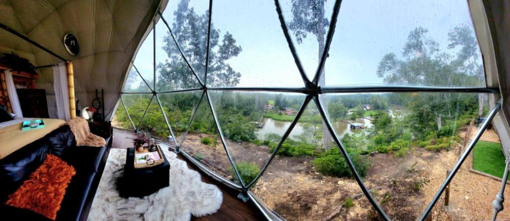 Zahrada ubytování WATERFRONT LUXURY GLAMPING DOME