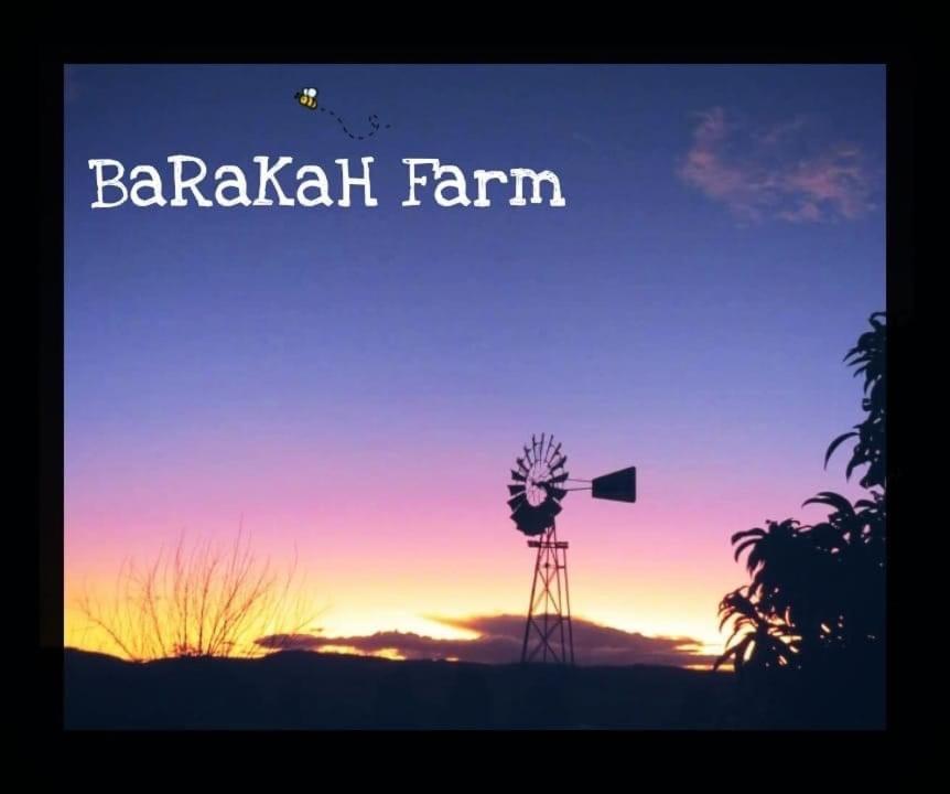 Barakah Farm, Warialda (updated prices 2024)