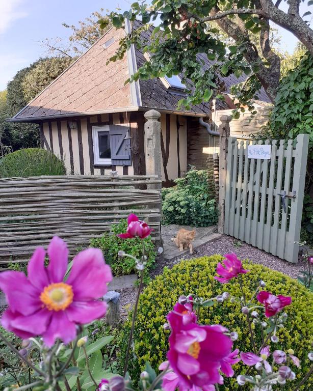 une maison avec une clôture blanche et des fleurs roses dans l'établissement Au p'tit jardin, à Saint-Sylvestre-de-Cormeilles