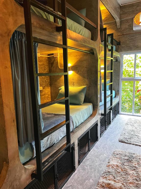 Wonderland Jungle Hostel - 18