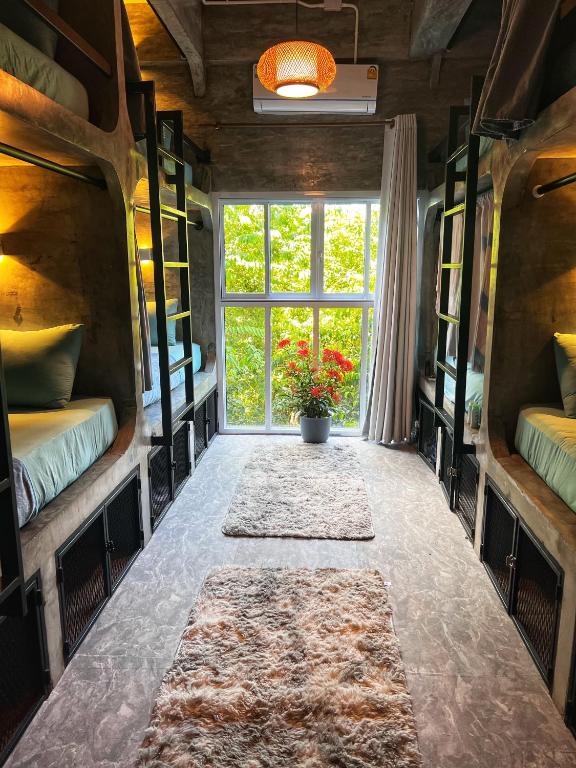 Wonderland Jungle Hostel - 16