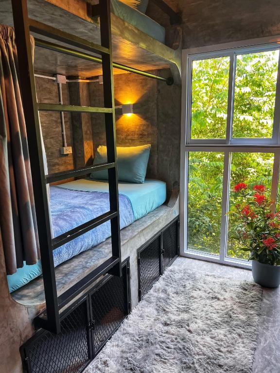 Wonderland Jungle Hostel - 19